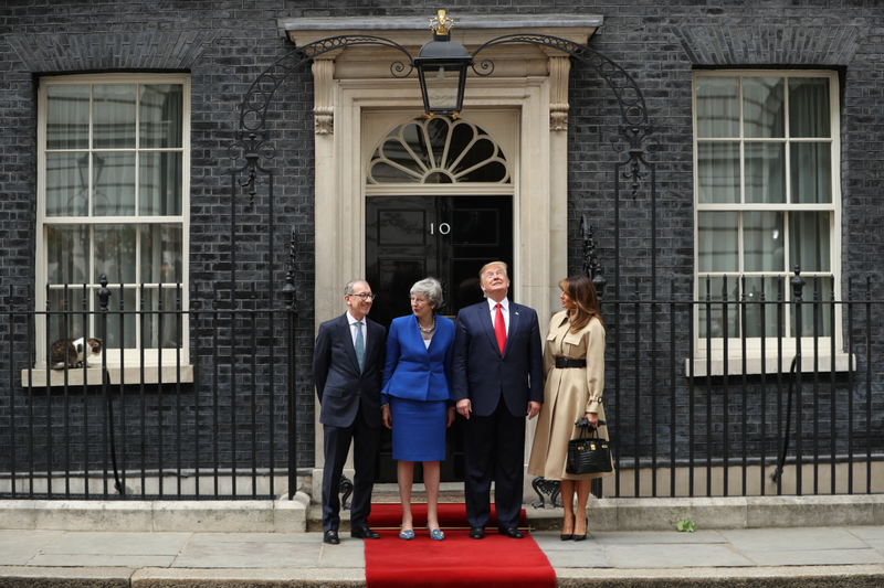 Illustration for article titled Make the Cat Prime Minister